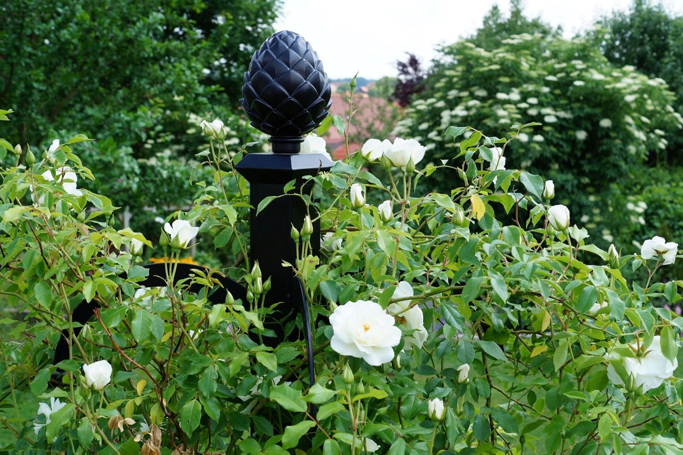 classic-garden-elements-hannibal-rankobelisk-metall-schwarz-220-cm image 7