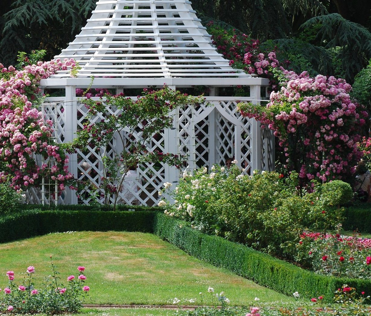 classic-garden-elements-rosenpavillon-zweibr-cken-wei-400cm image 2