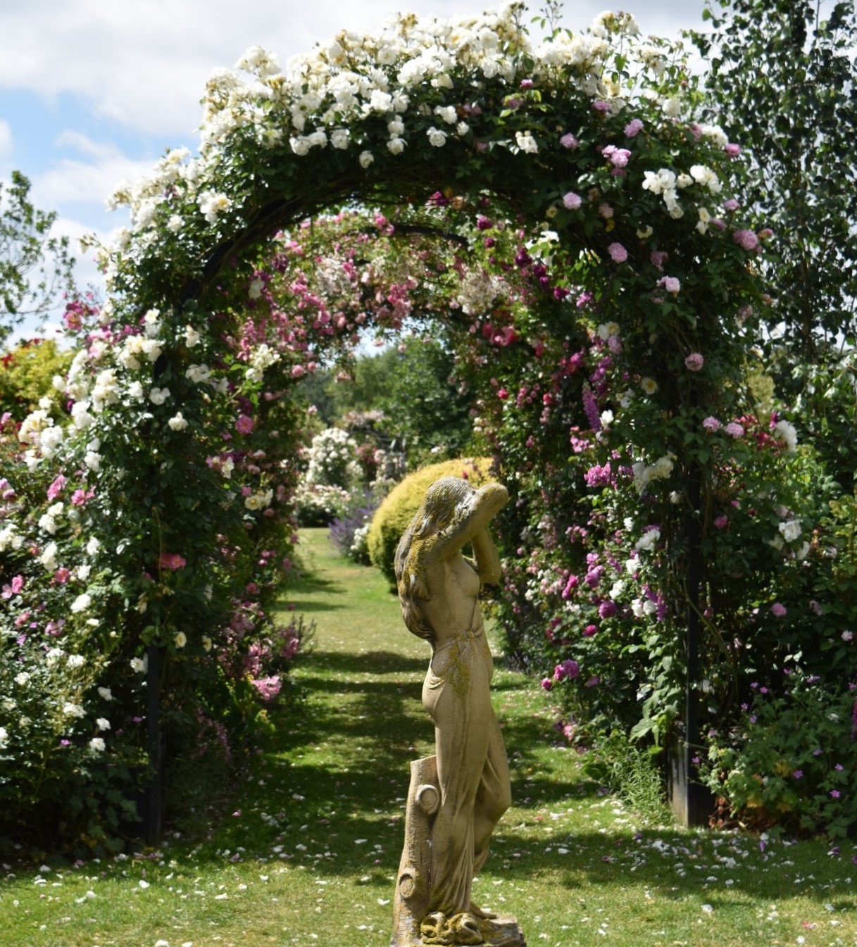 classic-garden-elements-portofino-rosenbogen-mit-k-beln-schwarz image 5