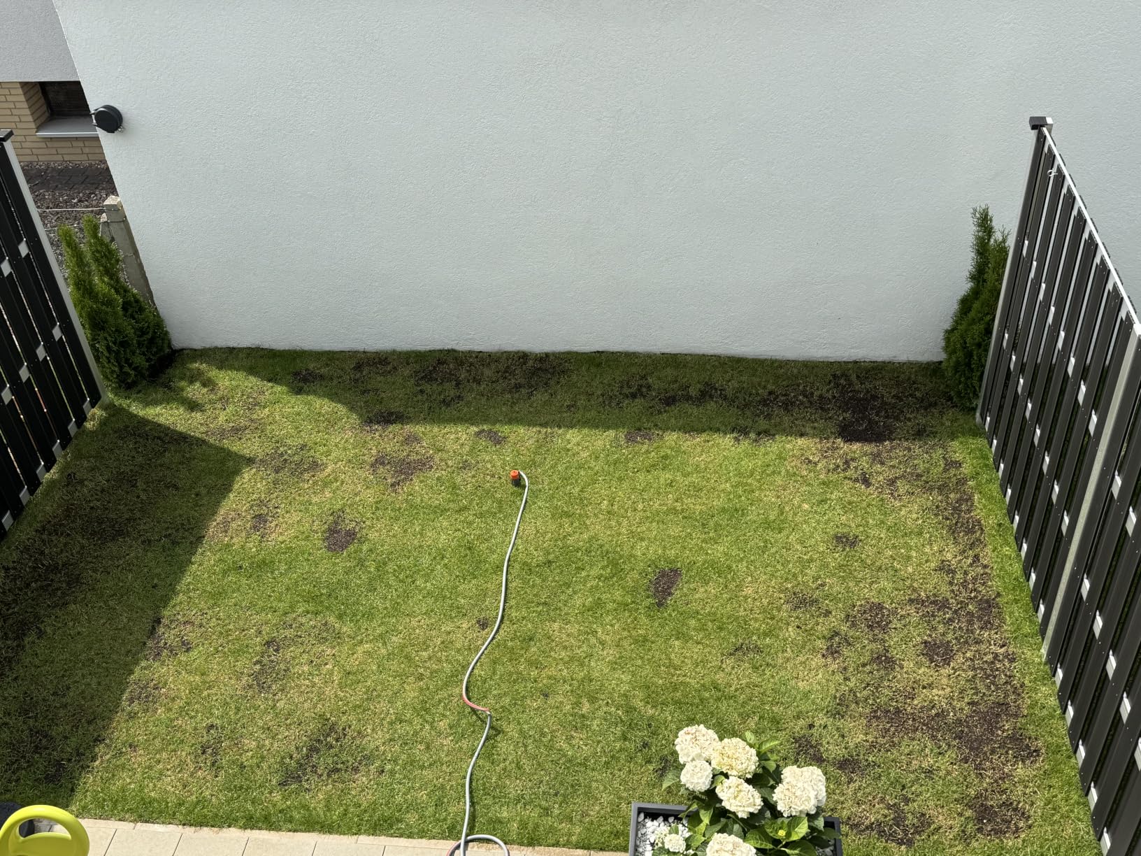 Kräftig grün