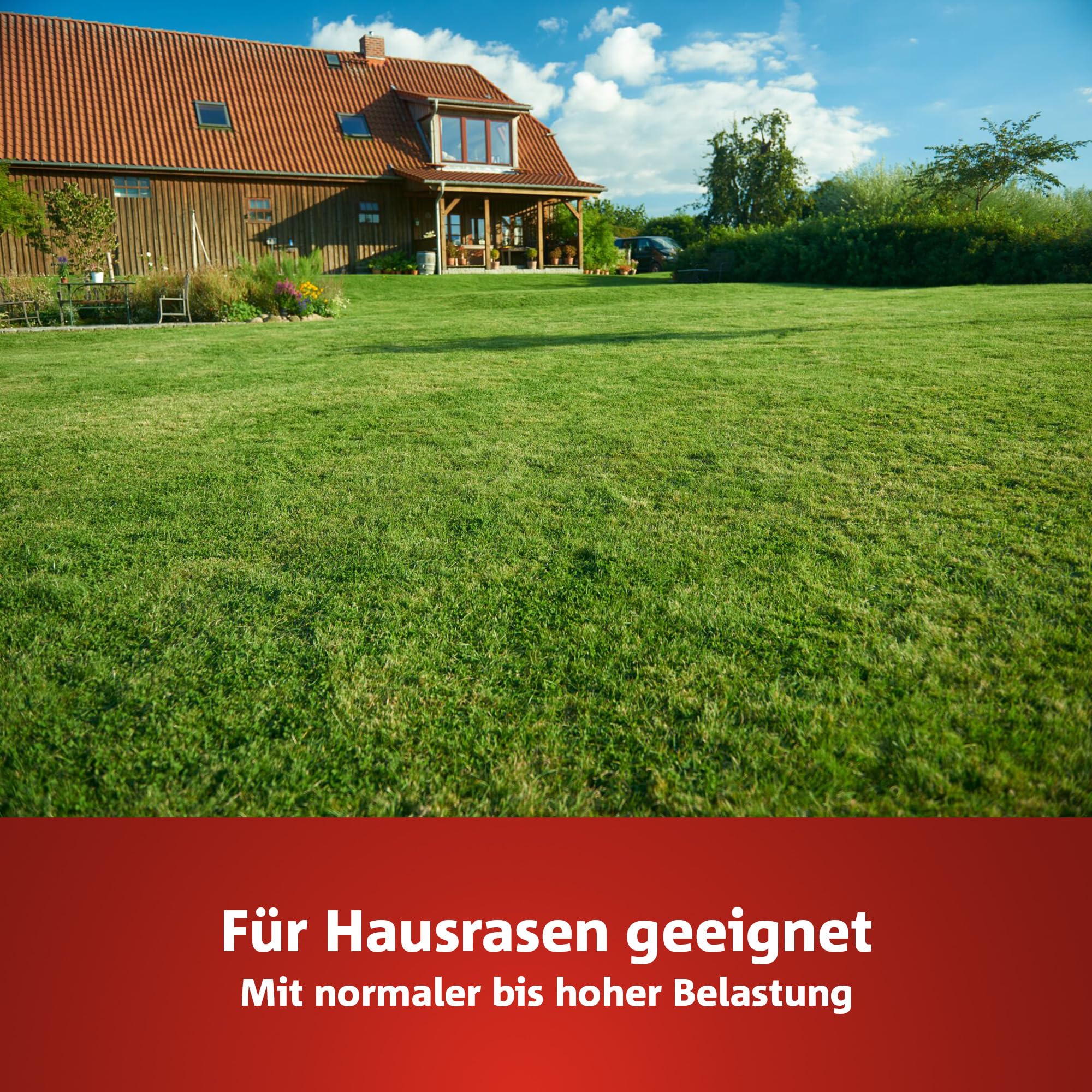 wolf-garten-natura-bio-sportrasen-lg-250-rasensamen-5-kg image 2