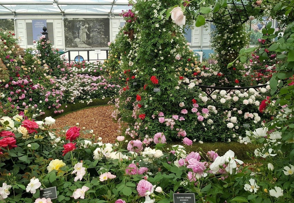 classic-garden-elements-buscot-park-hochzeitspavillon-metall-schwarz image 8