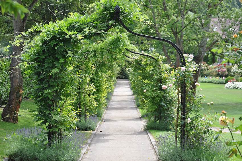 classic-garden-elements-brighton-rosenbogen-wei-172-cm image 5