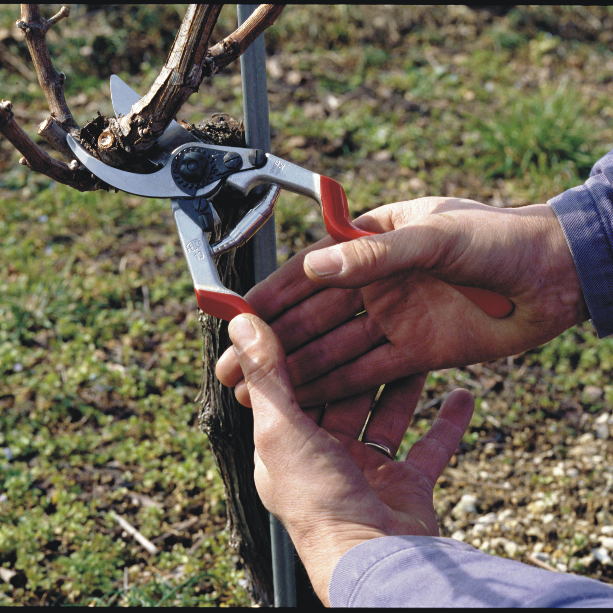 felco-13-gartenschere-einhand-30-mm-f-r-gro-e-h-nde image 3