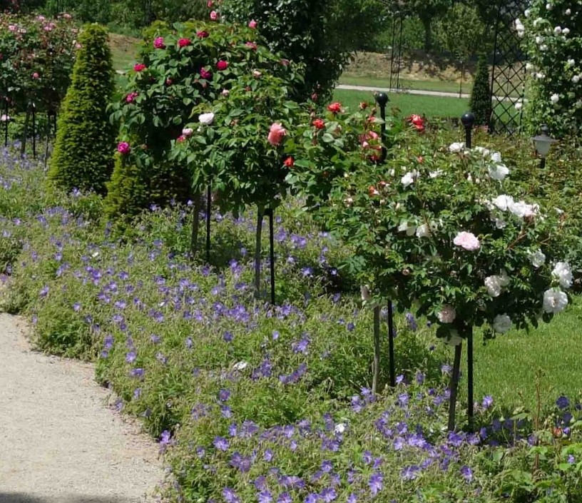 classic-garden-elements-jules-gravereaux-rosenst-be-paar-schwarz-2-st-ck image 7