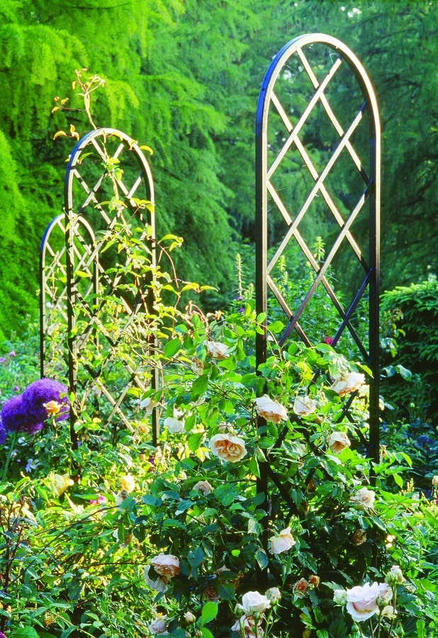 classic-garden-elements-beekman-rankhilfe-freistehend-schwarz-198-cm image 3
