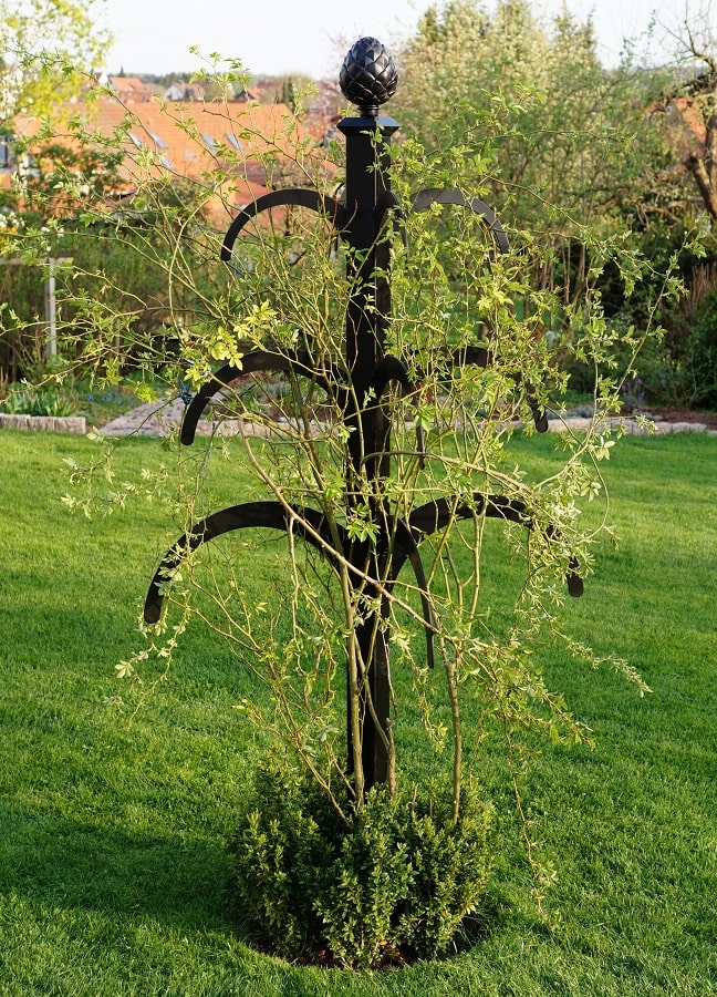classic-garden-elements-hannibal-rankobelisk-metall-schwarz-220-cm image 5