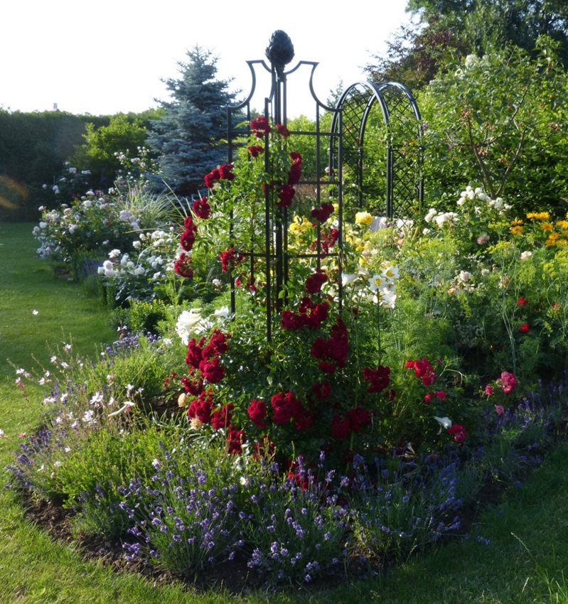 classic-garden-elements-rosenobelisk-ii-rankhilfe-210-cm image 5