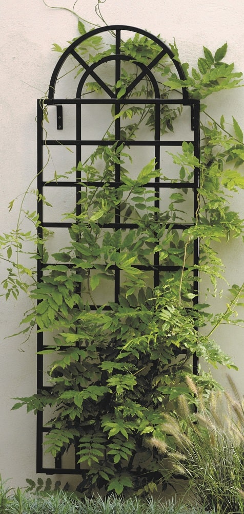 classic-garden-elements-orangerie-spalier-wandgitter-schwarz-metall image 6