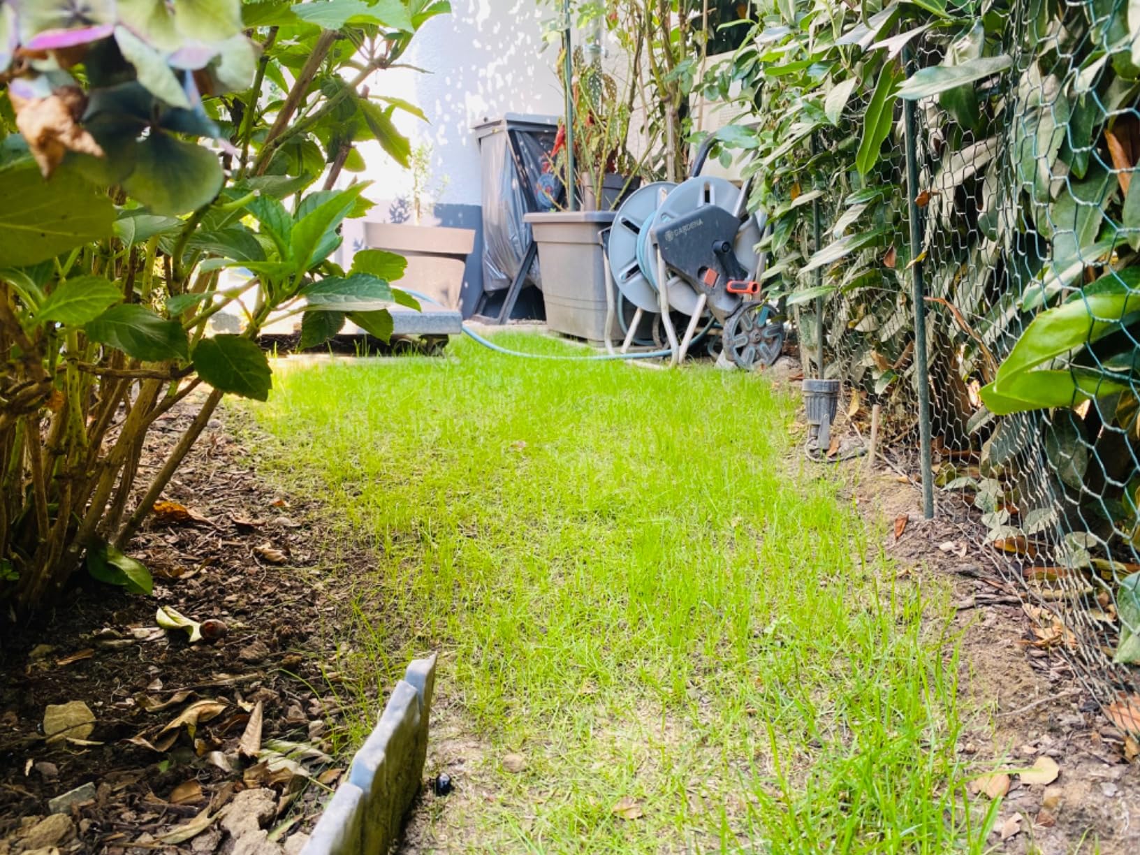 Klare Empfehlung