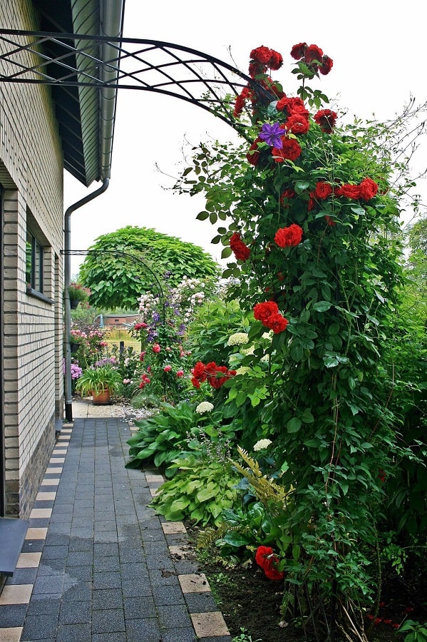 classic-garden-elements-bagatelle-rosenhalbbogen-metall-schwarz-150x260 image 8