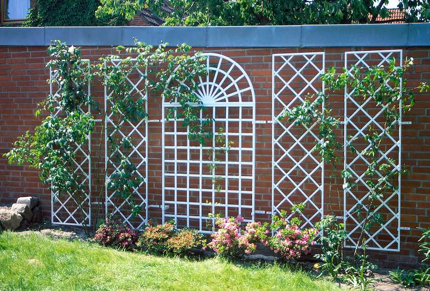 classic-garden-elements-treillage-rankgitter-schwarz image 5