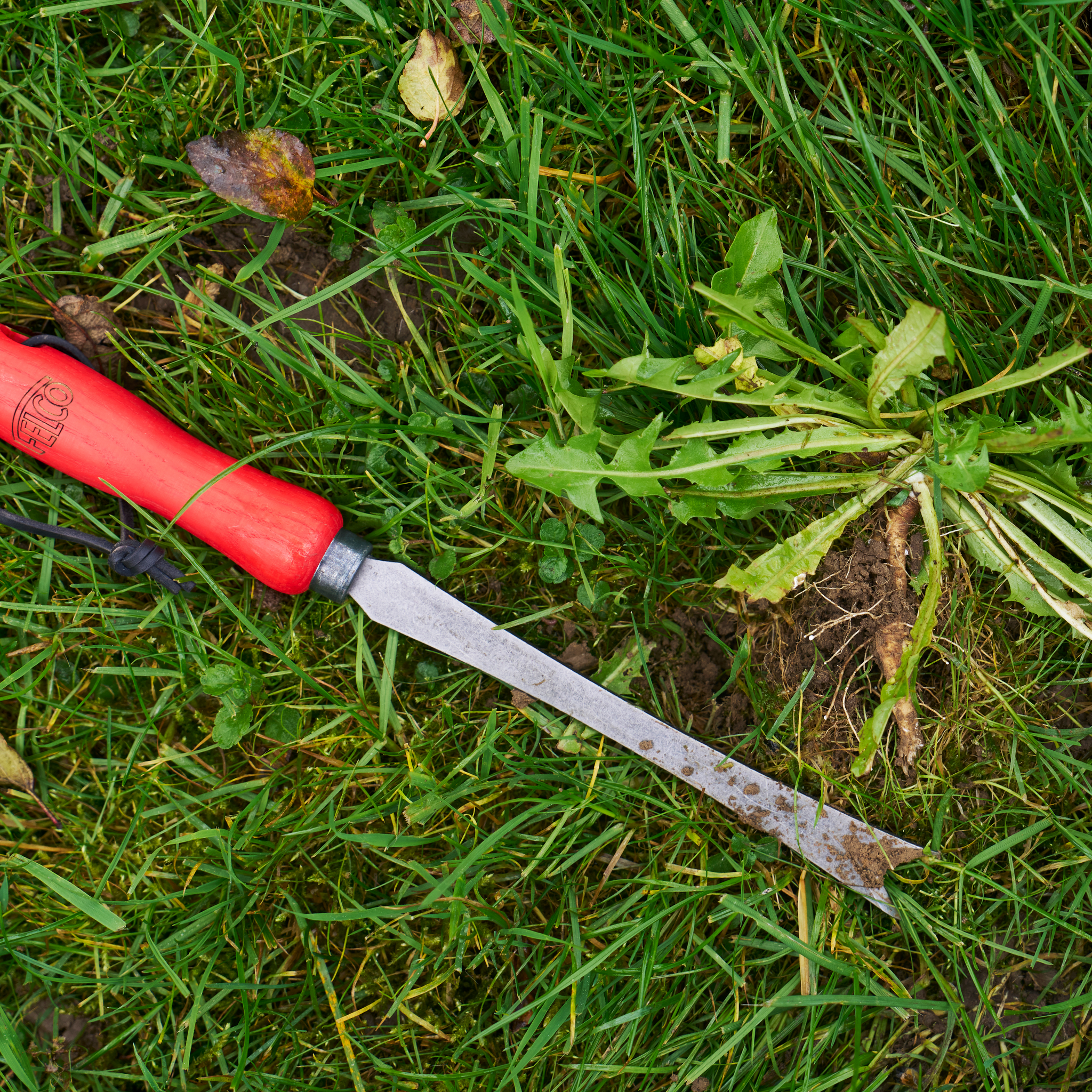 felco-442-gartenbeil-borstahl-eschenholz-handbeil image 4