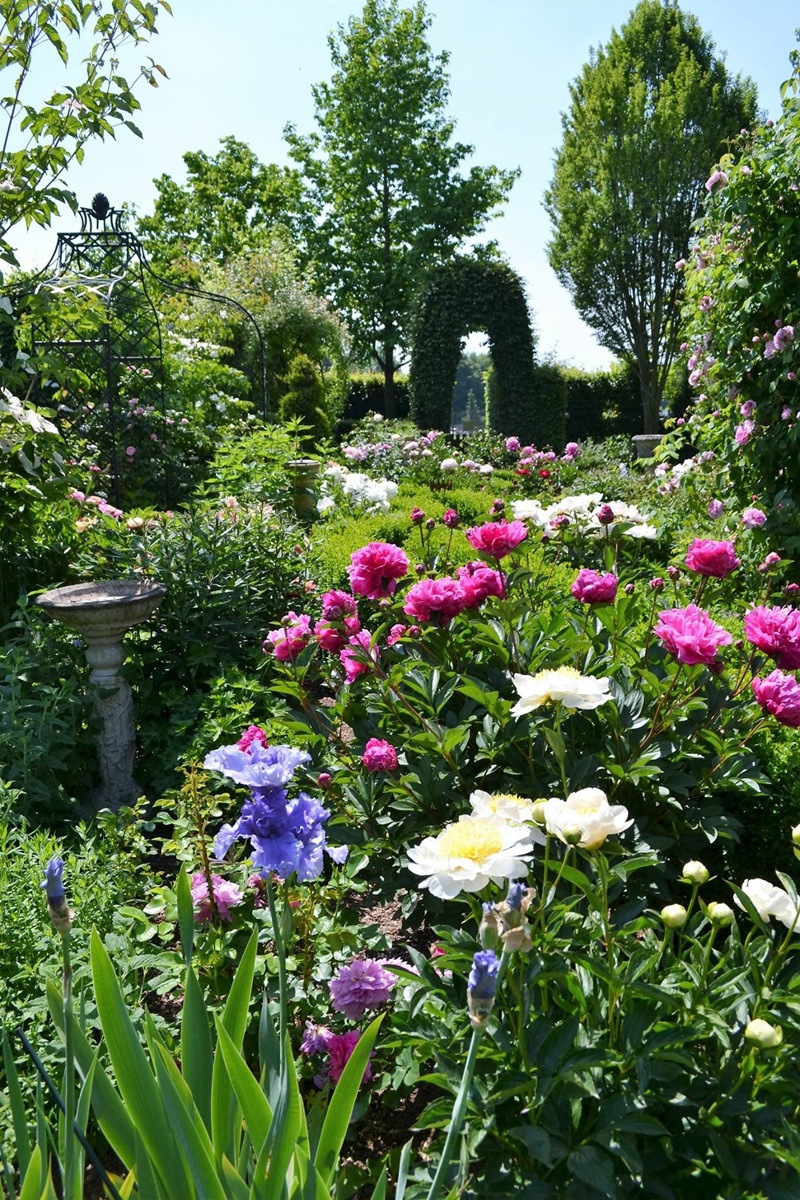 classic-garden-elements-kiftsgate-rosenpavillon-metall-rund-250-cm image 6