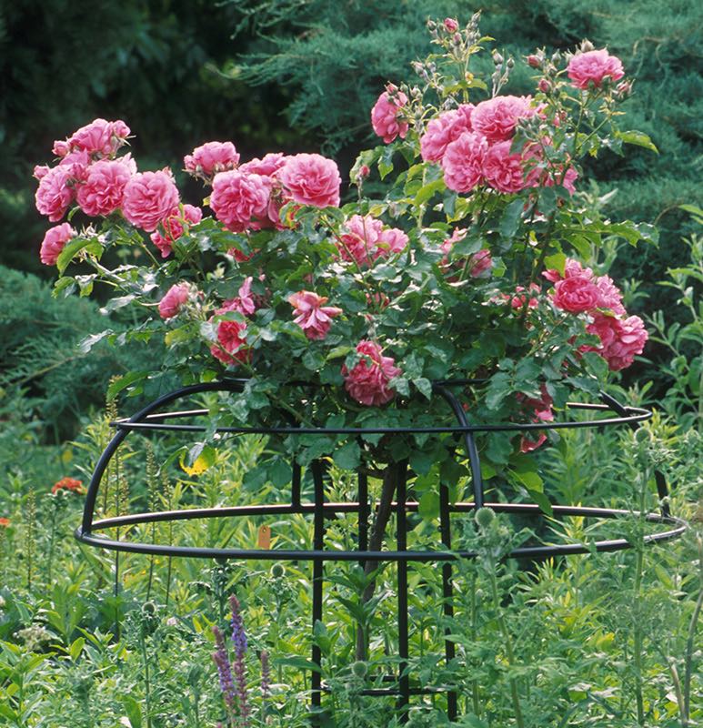 classic-garden-elements-giverny-rosenschirm-schwarz-geschlossen image 3
