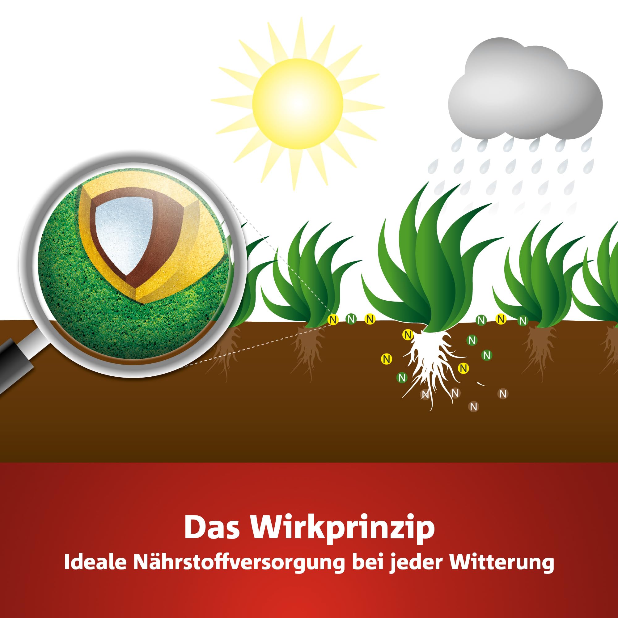 wolf-garten-natura-bio-le-450-rasend-nger-9-kg-f-r-450-m image 8