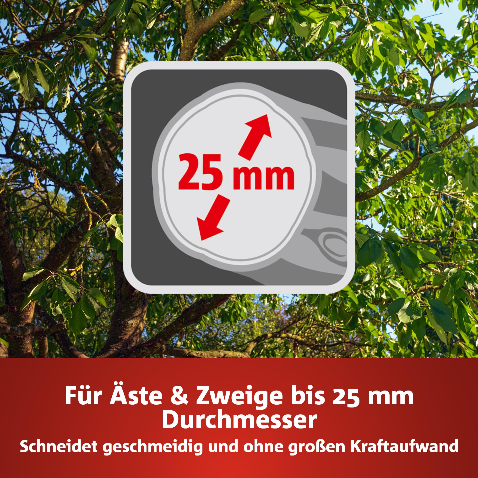 wolf-garten-rs-4000-amboss-gartenschere-premium-plus-25-mm image 3