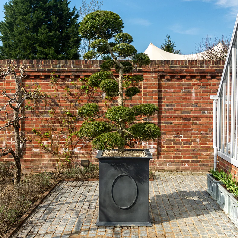 classic-garden-elements-windsor-pflanzk-bel-metall-rechteckig image 3