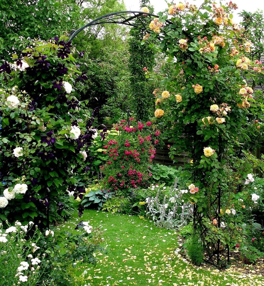 classic-garden-elements-bagatelle-rosenbogen-metall-rund-50-cm-tief image 5
