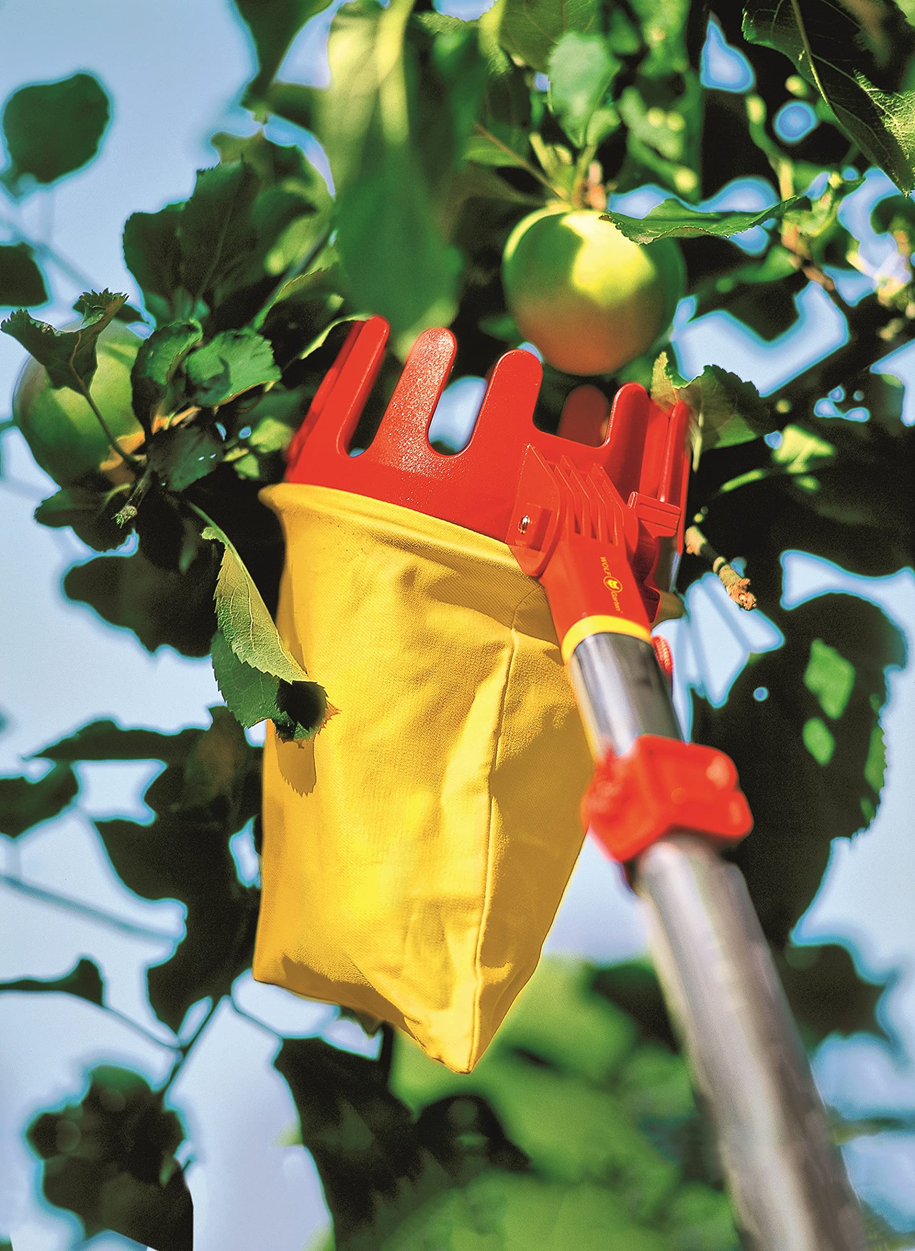 wolf-garten-multi-star-rg-m-obstpfl-cker-vario-rot-ohne-stiel image 3