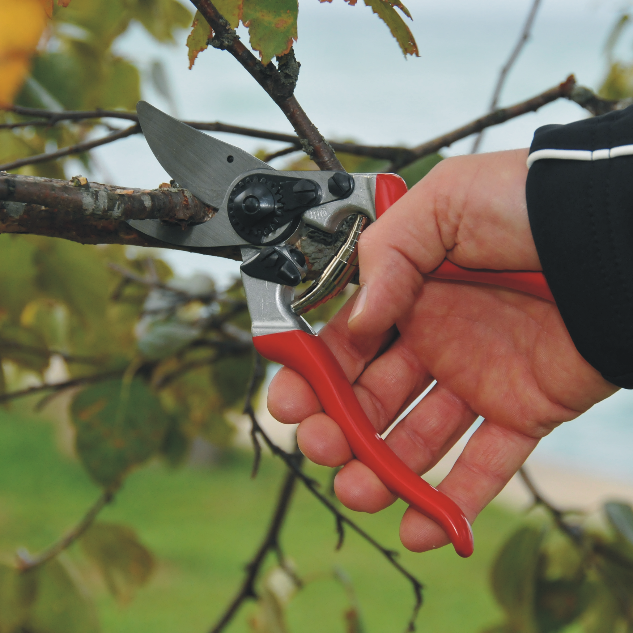 felco-8-einhand-gartenschere-bypass-rechts-25-mm image 3