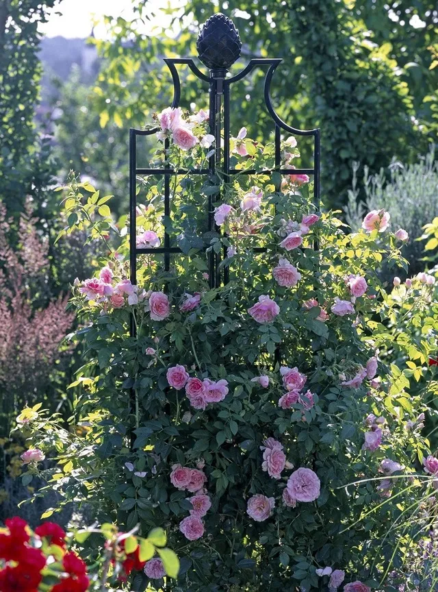 classic-garden-elements-rosenobelisk-ii-rankhilfe-210-cm image 1
