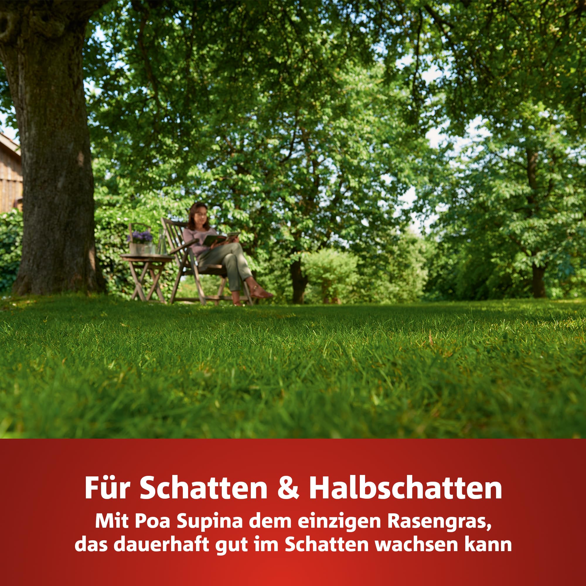 wolf-garten-natura-bio-lr-s-50-turbo-nachsaat-schatten-1-kg image 2