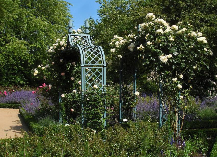 classic-garden-elements-brighton-rosenbogen-wei-172-cm image 4