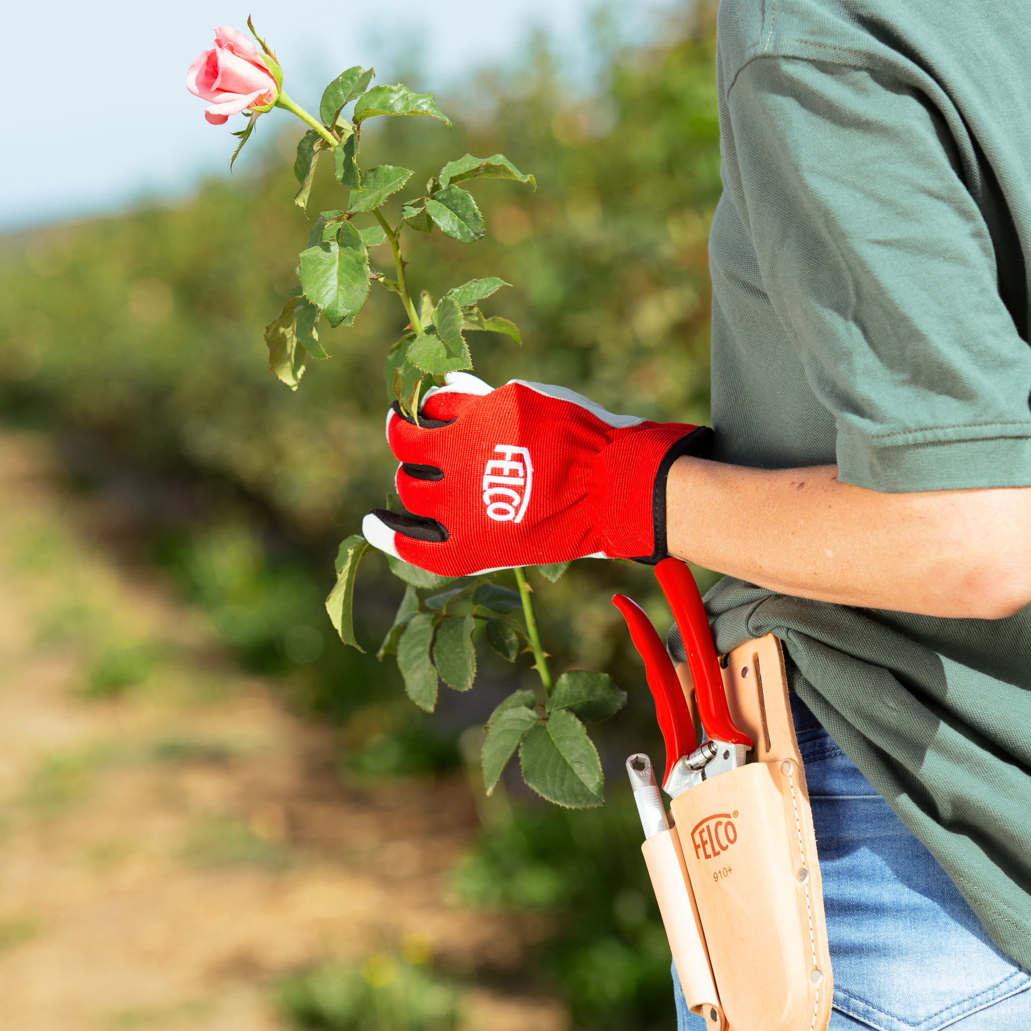 felco-910-holster-gartenschere-leder-mit-schleifsteinfach image 4