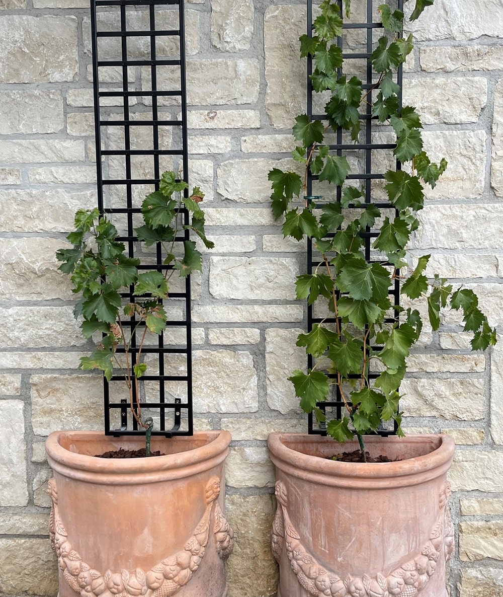 classic-garden-bauhaus-rankgitter-schmal-schwarz-200-cm-2er-set image 5