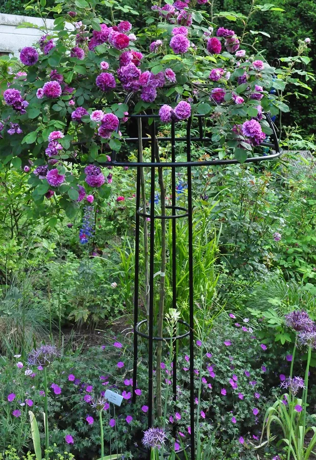 classic-garden-elements-giverny-rosenschirm-schwarz-geschlossen image 1