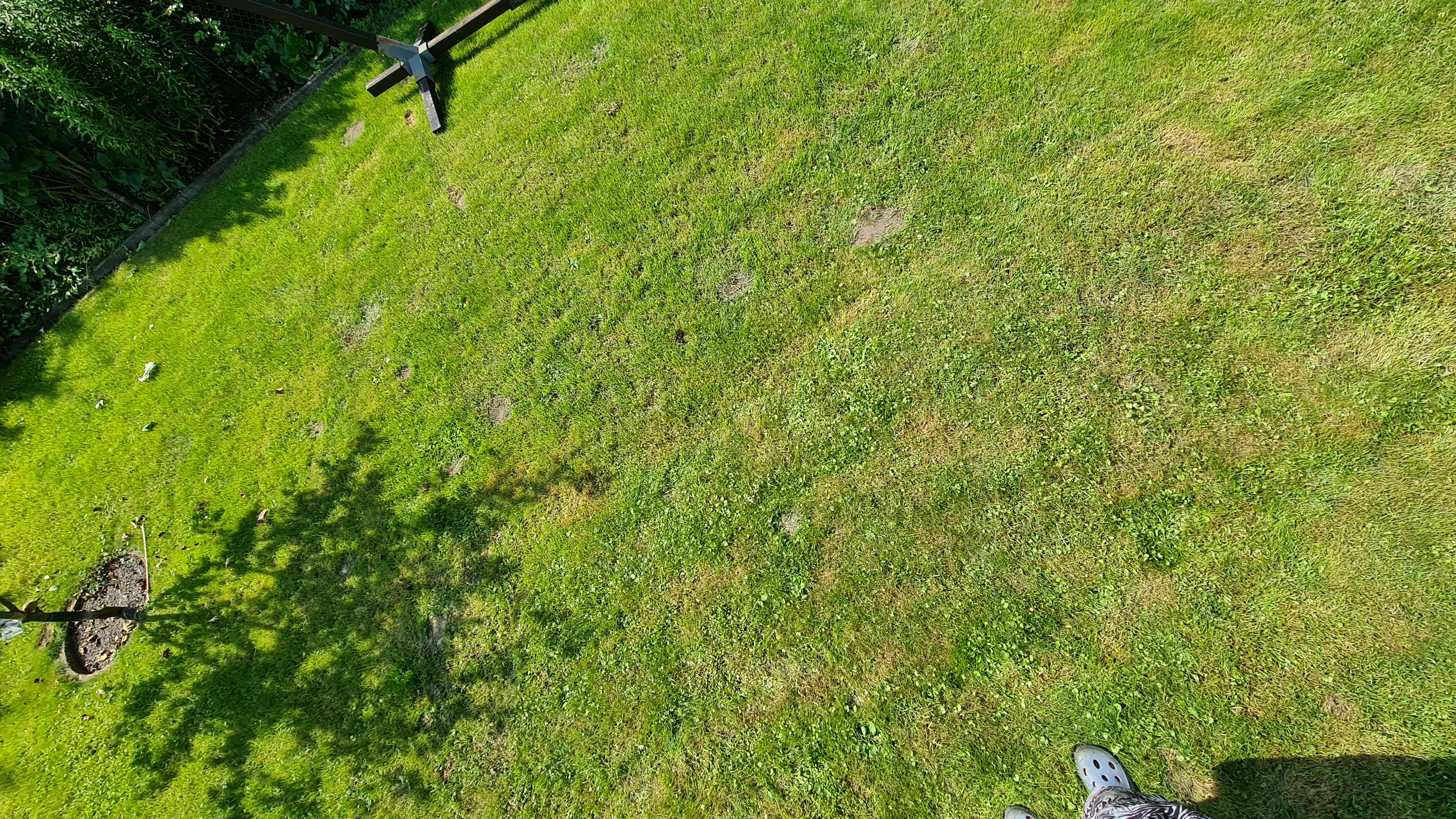 Top für den Sommer