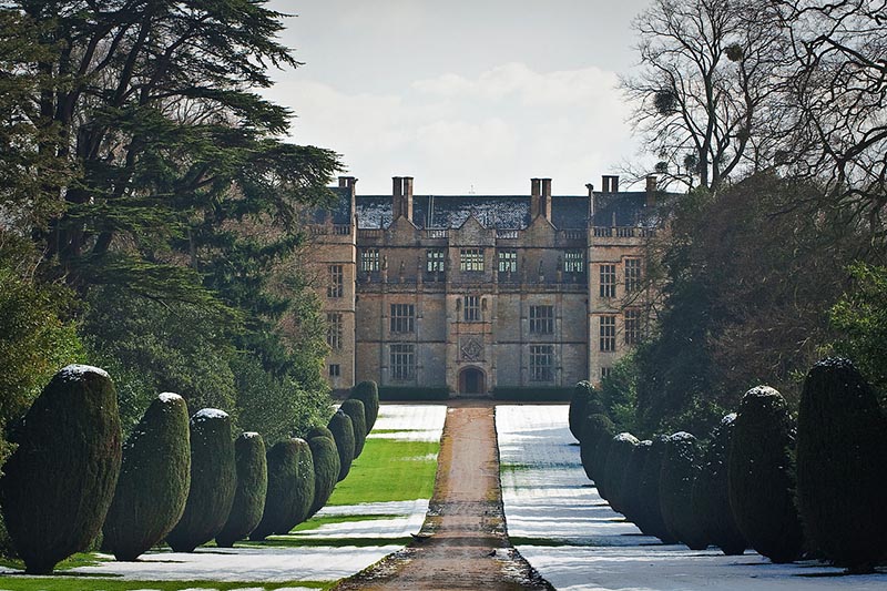 classic-garden-elements-montacute-house-treillage-spalier image 3