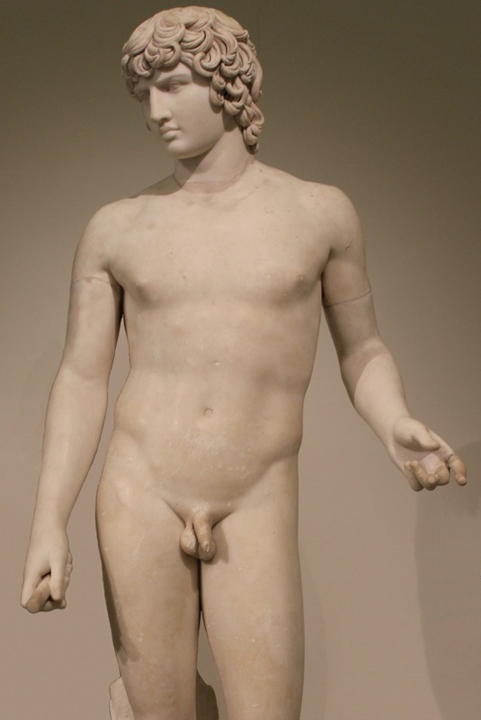 classic-garden-elements-antinoos-farnese-statue-bronze image 1