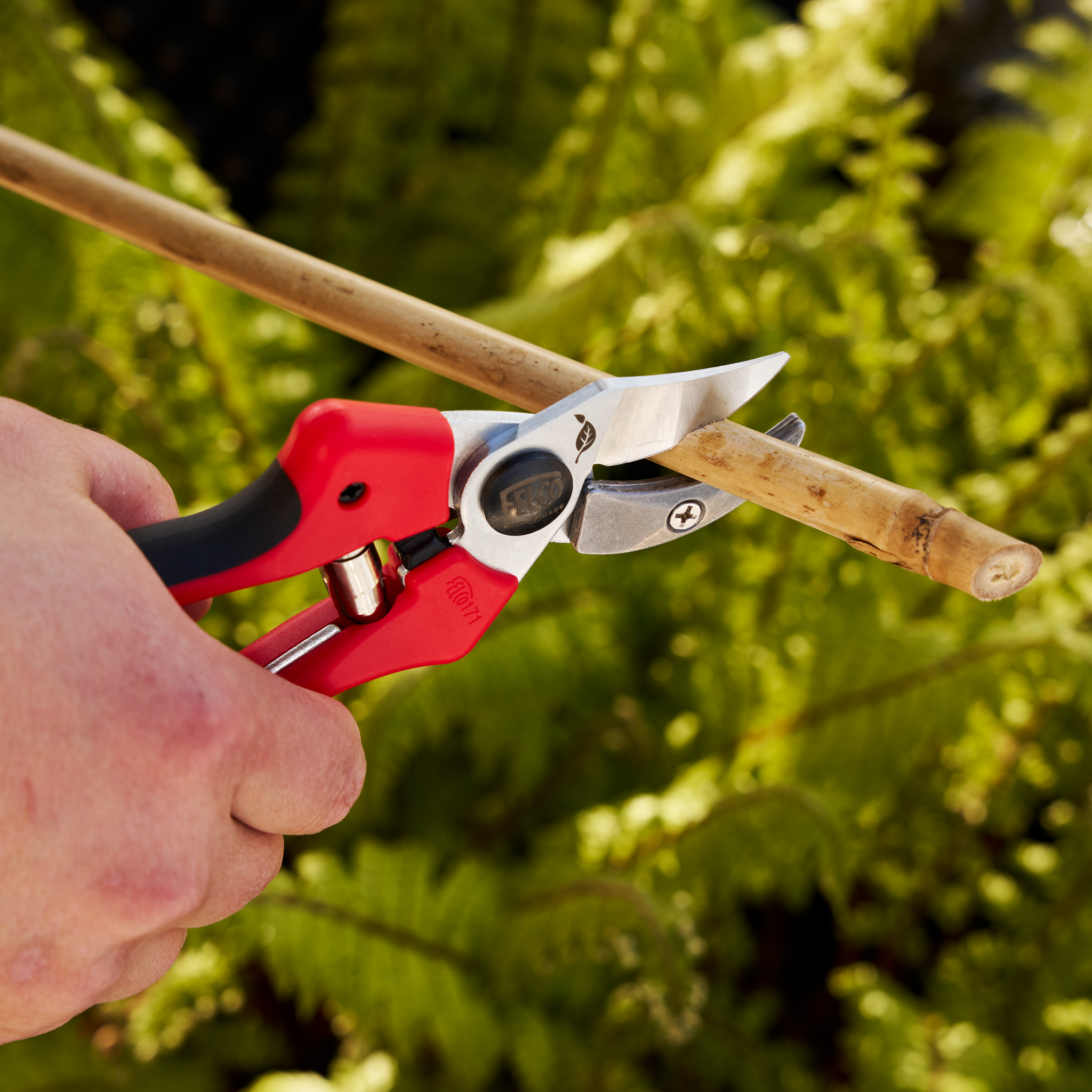 felco-2-171m-a-amboss-gartenschere-hartholz-swiss-made image 4