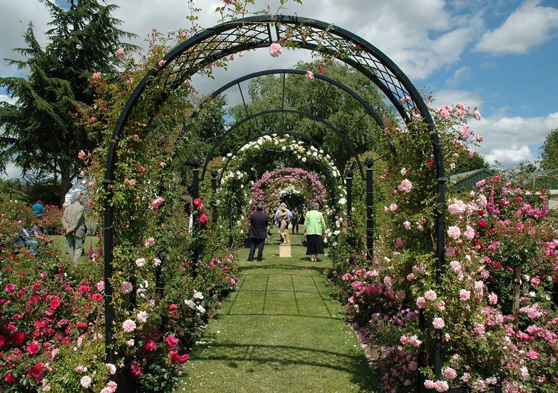 classic-garden-elements-portofino-rosenbogen-mit-k-beln-schwarz image 3