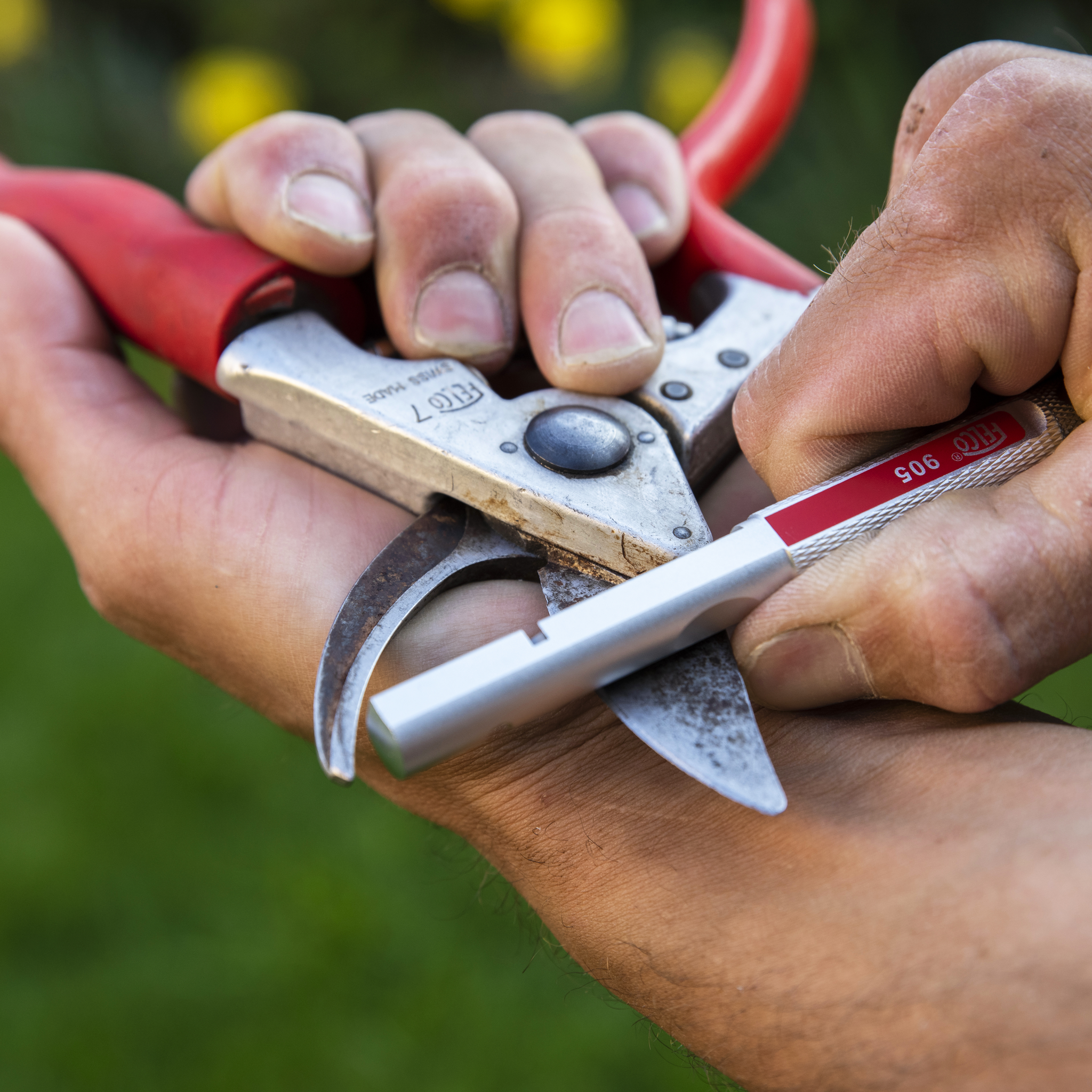 felco-905-schleifwerkzeug-f-r-gartenscheren-multifunktion image 3