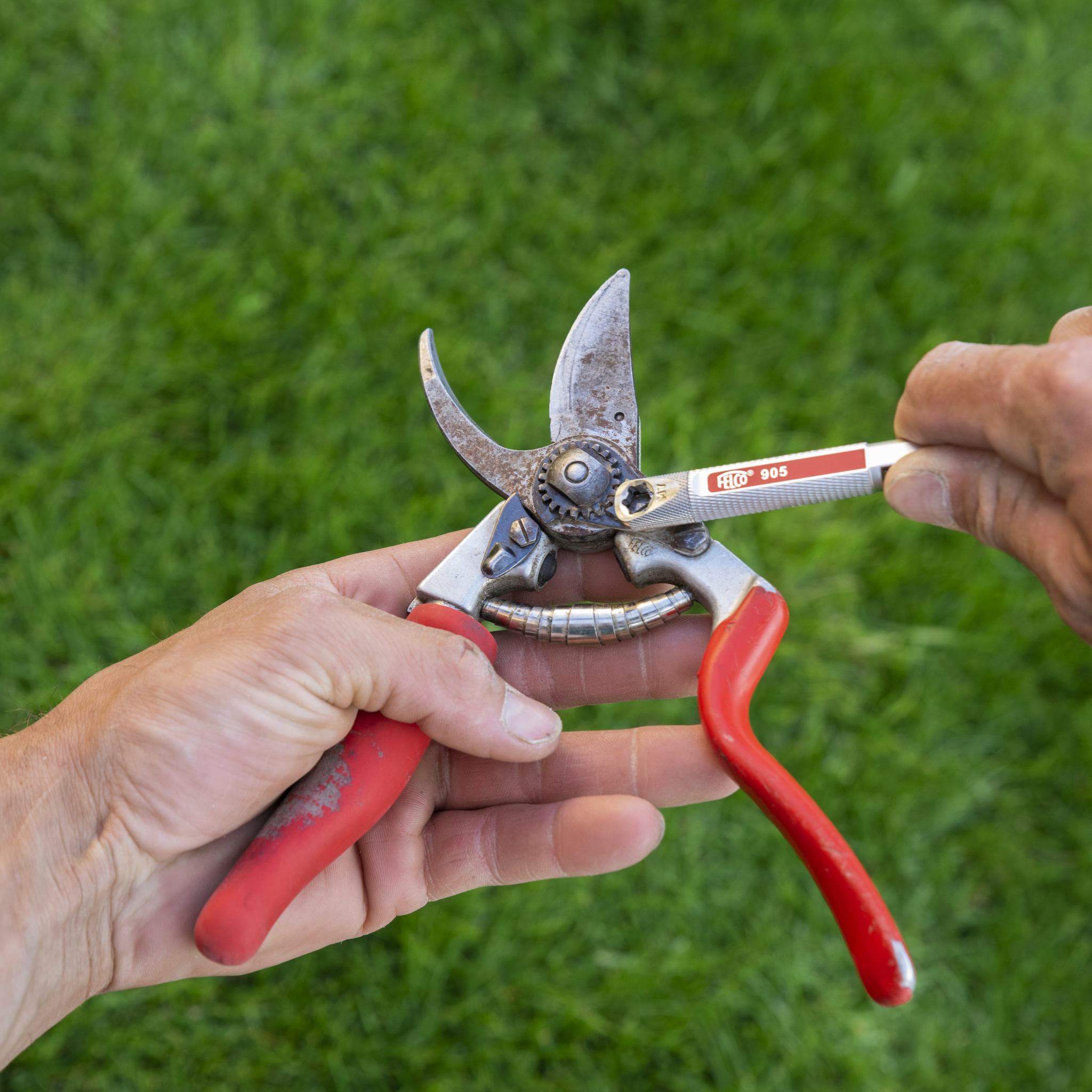 felco-905-schleifwerkzeug-f-r-gartenscheren-multifunktion image 4