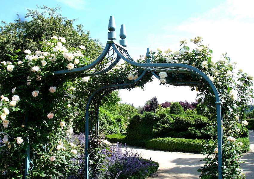 classic-garden-elements-brighton-rosenbogen-wei-172-cm image 6