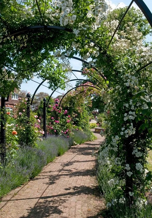 classic-garden-elements-st-albans-laubengang-metall-schwarz image 1