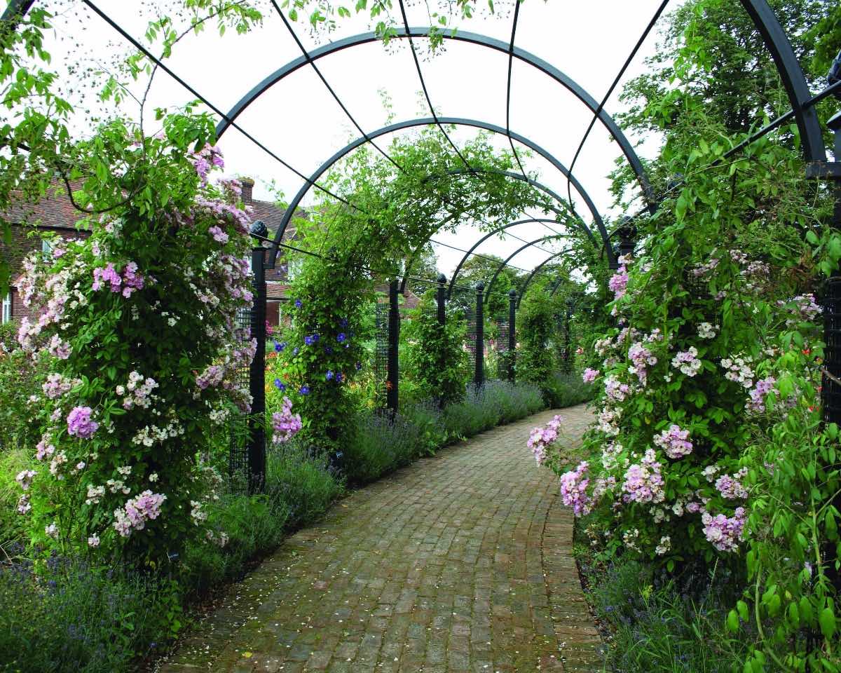 classic-garden-elements-st-albans-laubengang-metall-schwarz image 2