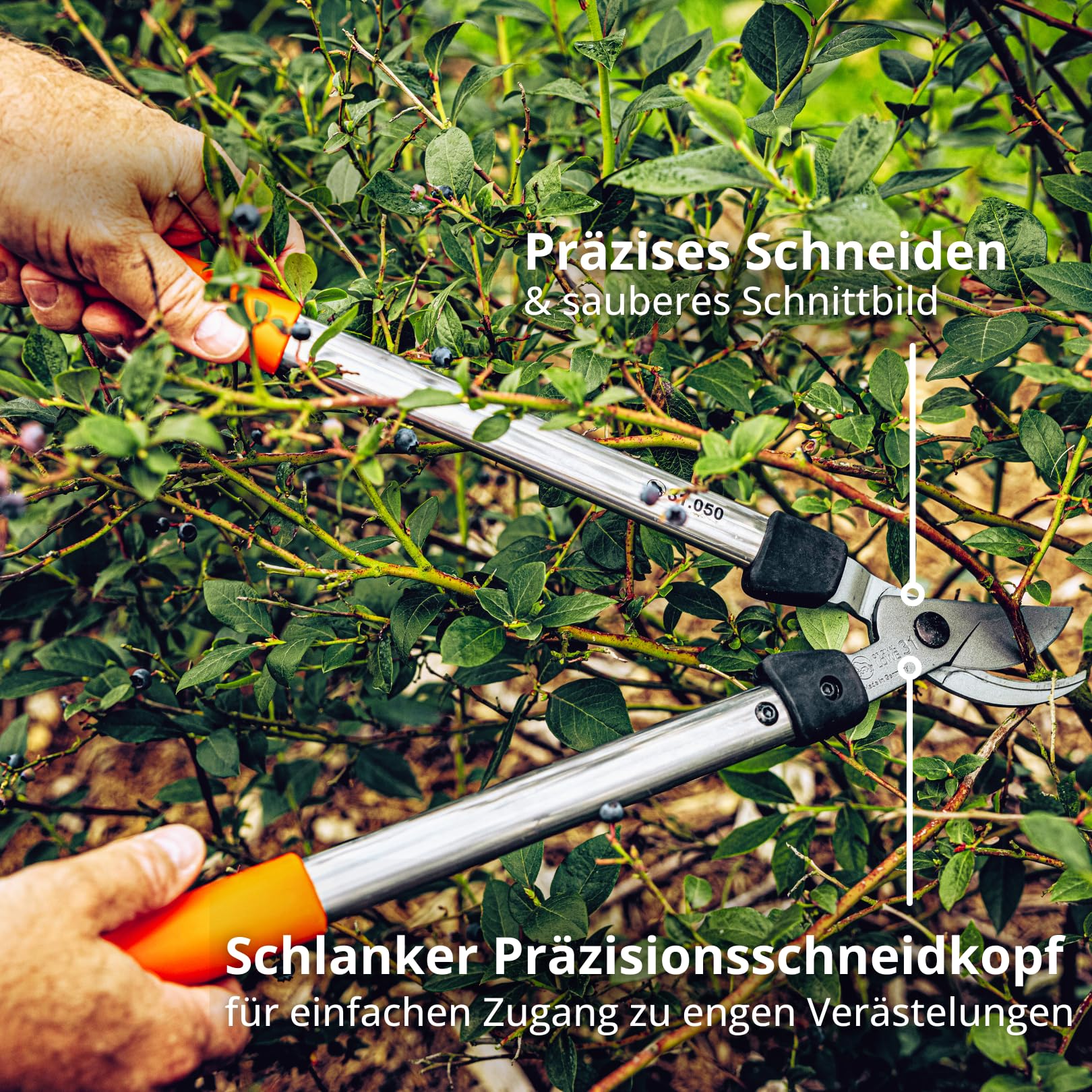 original-l-we-31-bypass-astschere-31-050-50-cm-f-r-30-mm image 6