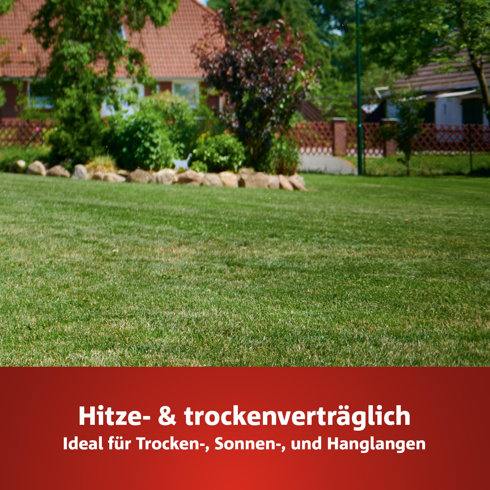 wolf-garten-natura-bio-trocken-rasen-premium-l-tp-100-rasensamen-3-kg image 2