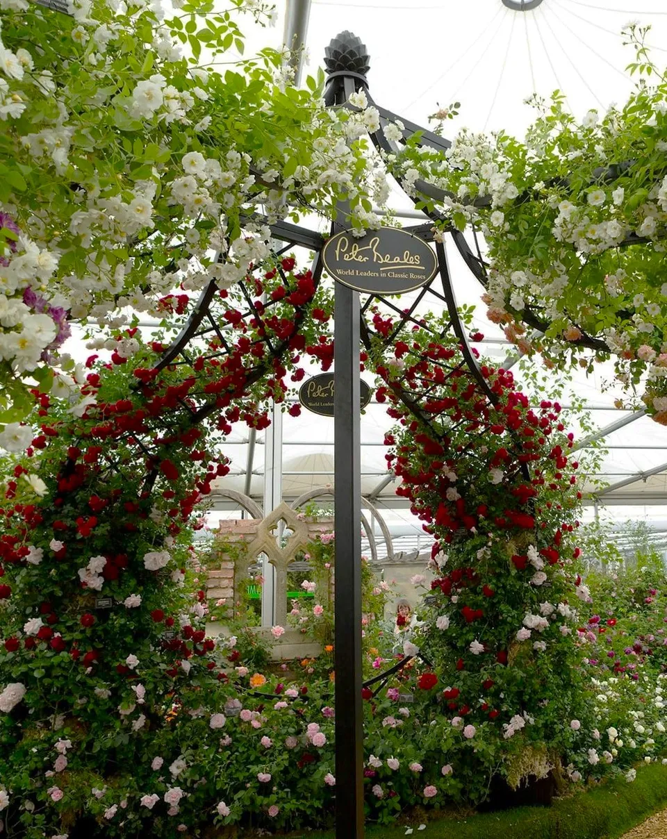 classic-garden-elements-pavillon-lyme-park-metall-580-cm image 1