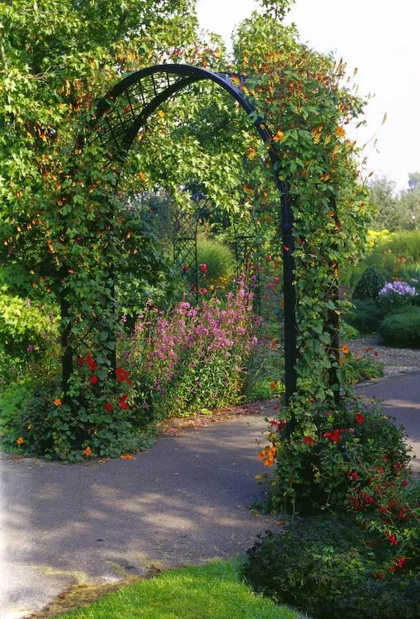 classic-garden-elements-portofino-rosenbogen-mit-k-beln-schwarz image 1