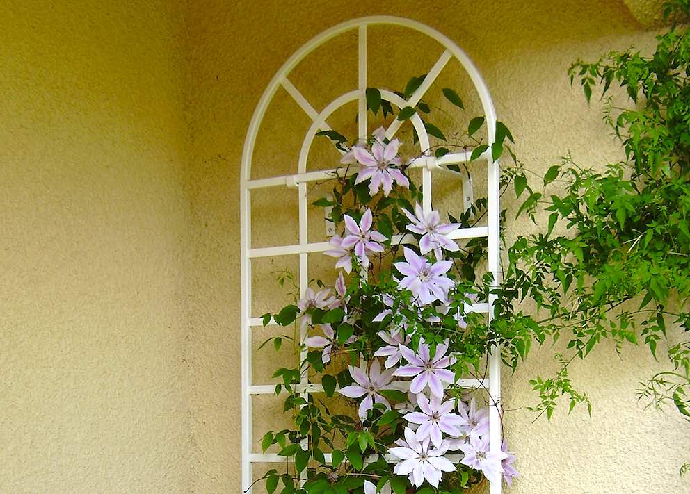 classic-garden-elements-clematis-spalier-wei-173-cm-ral-9016 image 3