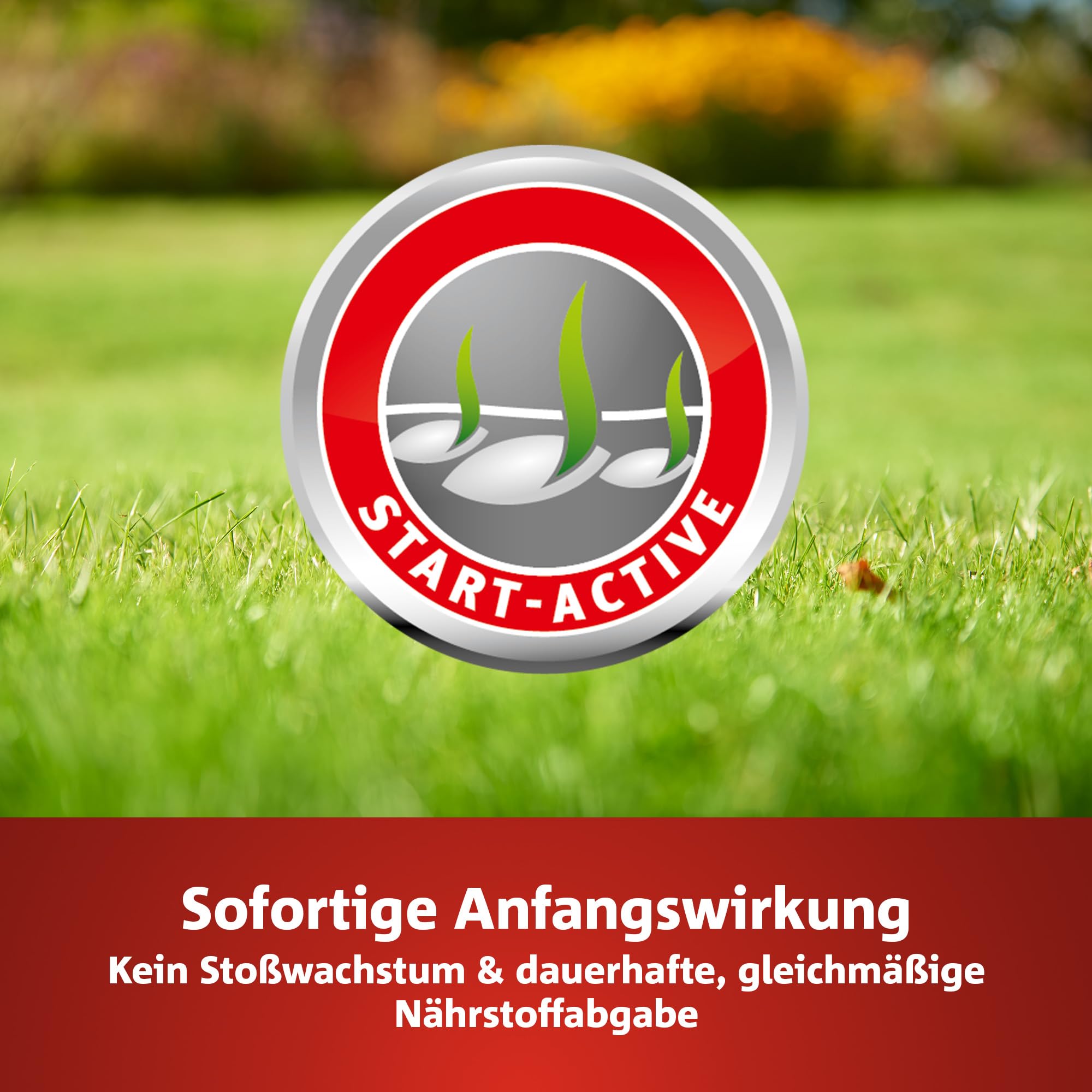 wolf-garten-natura-bio-le-450-rasend-nger-9-kg-f-r-450-m image 3