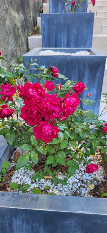 classic-garden-elements-qube-pflanzk-bel-zink-grau image 7