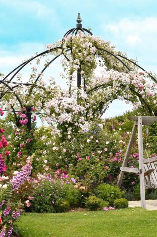 classic-garden-elements-peter-beales-rosenpavillon-metall-schwarz-kuppel image 1