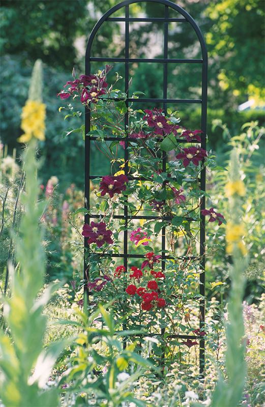 classic-garden-elements-burlington-rankhilfe-metall-schwarz image 5